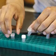STEM-hands