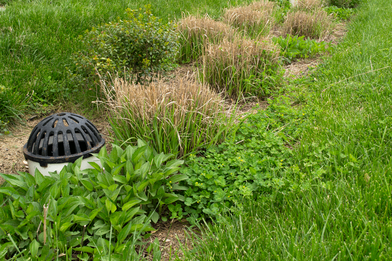 Stormwater